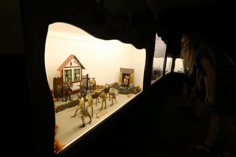 Zbirka od 500-tinjak prepariranih zaba u ljudskim situacijama, smjestena u bivsem kinu Tesla, prema rijecima vlasnika Ivana Medveseka, ne naliazi na dovoljno zanimanje institucija RH pa bi uskoro trebala preseliti u London. Photo: Ivo Cagalj/PIXSELL Zbirka od 500-tinjak prepariranih zaba u ljudskim situacijama, smjestena u bivsem kinu Tesla, prema rijecima vlasnika Ivana Medveseka, ne naliazi na dovoljno zanimanje institucija RH pa bi uskoro trebala preseliti u London. Photo: Ivo Cagalj/PIXSELL