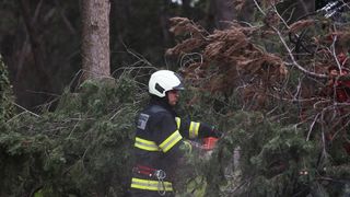 Olujno jugo oborilo stablo i električni stup