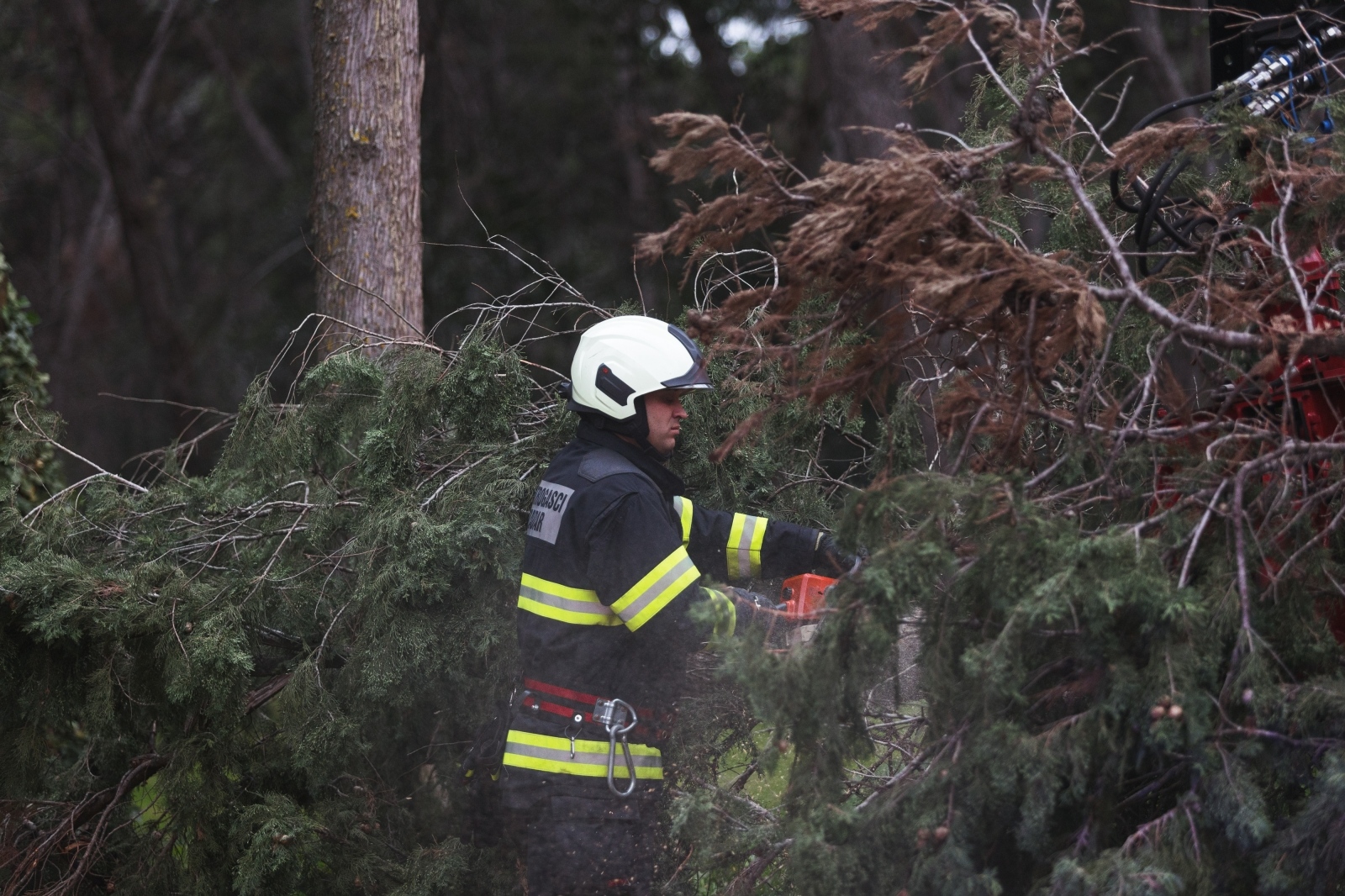 Olujno jugo oborilo stablo i električni stup