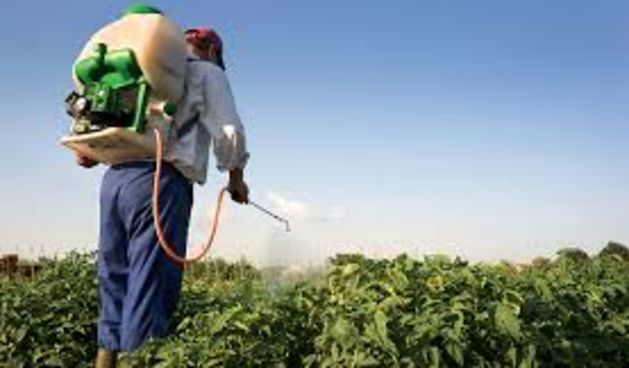 Velik interes za polaganje ispita za program Održive upotrebe pesticida