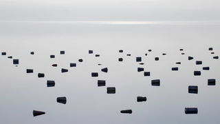 Magla promijenila uobičajene prizore grada i okolice, Foto: Leonard Kvarantan Magla promijenila uobičajene prizore grada i okolice, Foto: Leonard Kvarantan