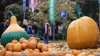 12. Bučijada u Ivanić-Gradu. Photo: Igor Soban/PIXSELL 12. Bučijada u Ivanić-Gradu. Photo: Igor Soban/PIXSELL