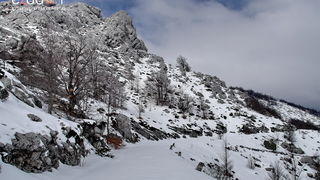 Tulove grede pod snježnim pokrivačem Tulove grede pod snježnim pokrivačem