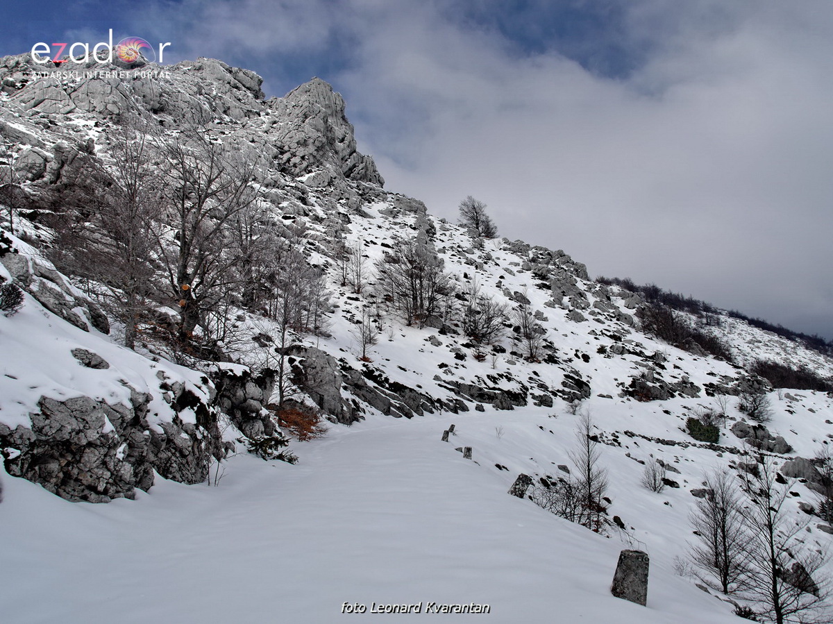 Tulove grede pod snježnim pokrivačem Tulove grede pod snježnim pokrivačem