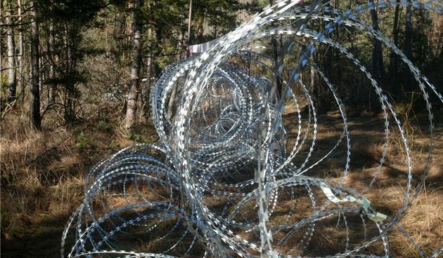 Žilet žica, Foto: Hina