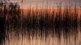 Nedjeljno svitanje na Vranskom jezeru Nedjeljno svitanje na Vranskom jezeru