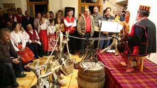 Nadin, Cvitarijada 2008. Nadin, Cvitarijada 2008.