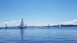 Zadarska Koka 2016. 22. listopada 2016. Foto: Mladen Malik Zadarska Koka 2016. 22. listopada 2016. Foto: Mladen Malik