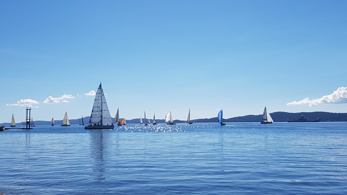 Zadarska Koka 2016. 22. listopada 2016. Foto: Mladen Malik Zadarska Koka 2016. 22. listopada 2016. Foto: Mladen Malik