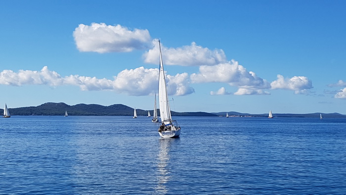 Zadarska Koka 2016. 22. listopada 2016. Foto: Mladen Malik Zadarska Koka 2016. 22. listopada 2016. Foto: Mladen Malik