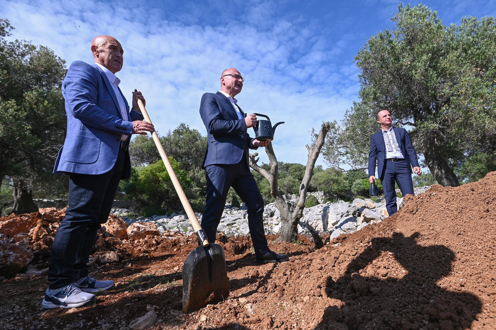 Grlić Radman i veleposlanik Ukrajine posadili maslinu u Perivoju mira