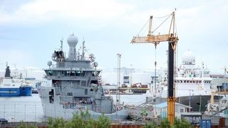 Đir po Reykjaviku, glavnom gradu Islanda