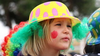 Virski karnevalić 2016. Virski karnevalić 2016.