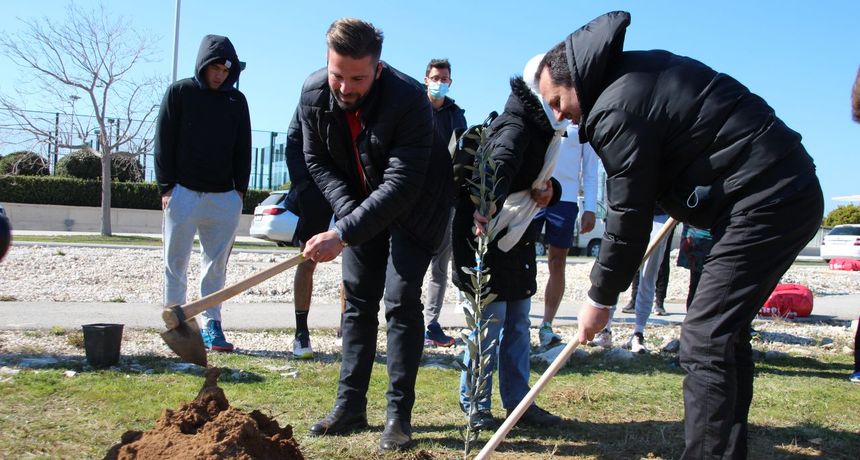 Tenisači iz cijele Europe zasadili 50 sadnica maslina u Petrčanima Tenisači iz cijele Europe zasadili 50 sadnica maslina u Petrčanima