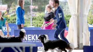 Međunarodna izložba pasa CACIB 2023