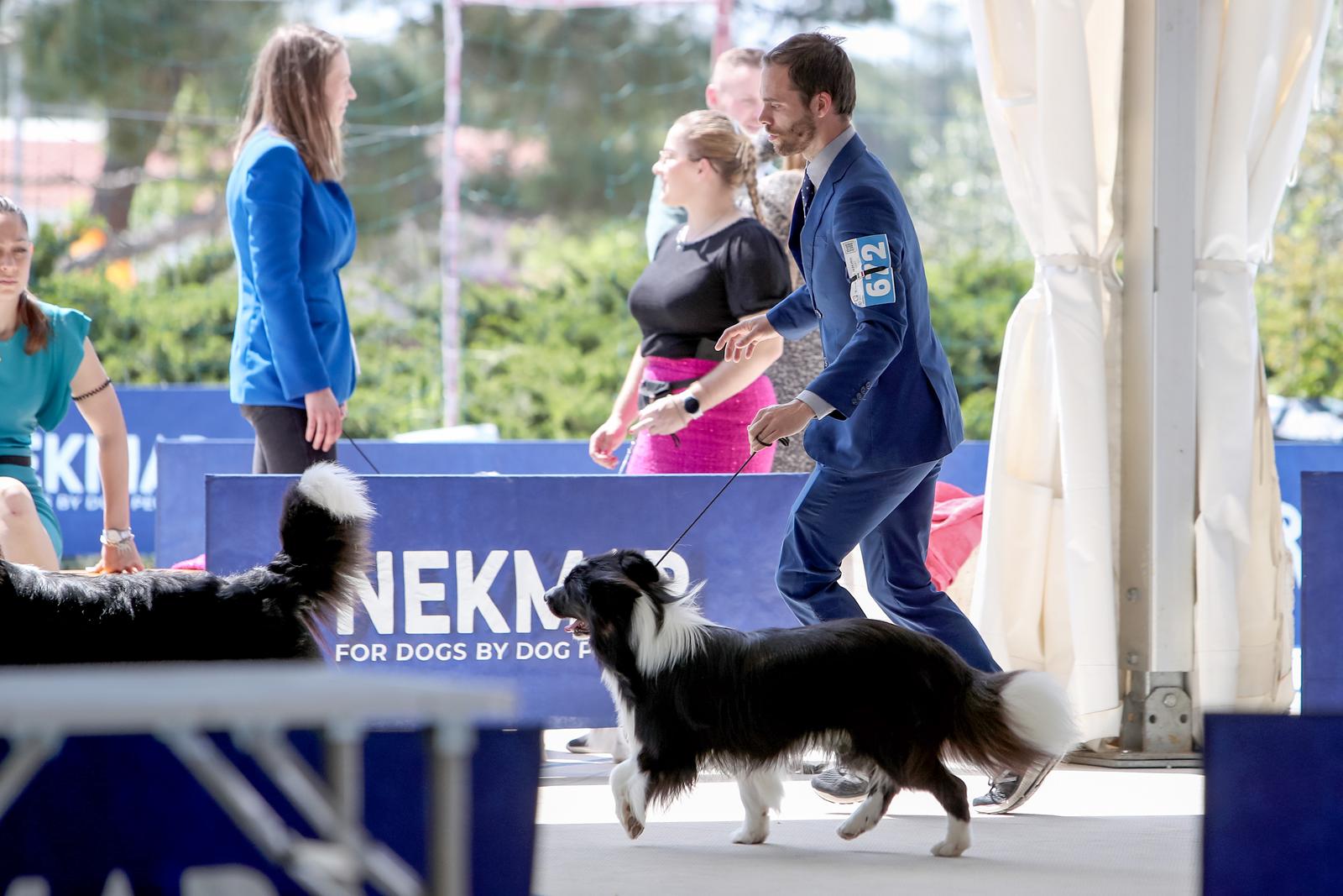 Međunarodna izložba pasa CACIB 2023