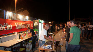 Davor Gobac i Psihomodo pop u Bibinjama, Foto: Leo Banić