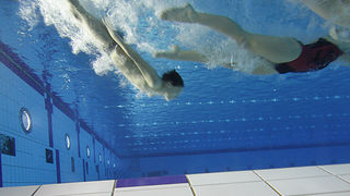 SC Višnjik: Podvodna izložba ronilačkog kluba “Roko” SC Višnjik: Podvodna izložba ronilačkog kluba “Roko”