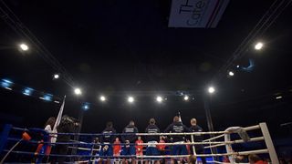 Svjetska boksacka liga, grupa B C1: Croatian Knights – France Fighting Roosters