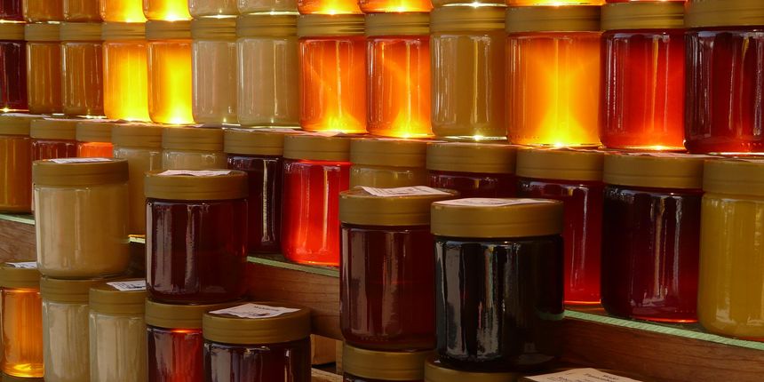 Vrste meda: saznajte sve o različitim vrstama meda Vrste meda: saznajte sve o različitim vrstama meda