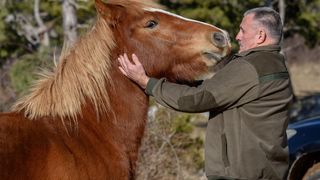Veliko Rujno: Drago Krapić vlasnik je pedesetak konja koji obitavaju na velebitskim pašnjacima