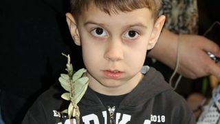 Radionica pletenja maslininih grančica, foto: NMZ arhiva Radionica pletenja maslininih grančica, foto: NMZ arhiva