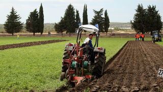 Jankolovica, Biograd, 150912. 
U Jankolovici kraj Biograda odrzan je drugi dan 59. Svjetskog prvenstva u oranju. Ovo natjecanje u oranju odrzava se od 1953. godine, a Hrvatska se ukljucila 2005. godine.
Na fotografiji: natjecatelj iz Republike Kosovo. 
Fo