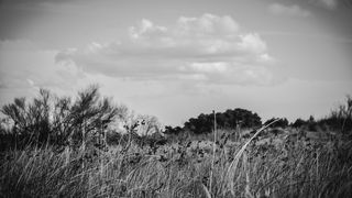 Crno bijela bajka na Kraljičinoj plaži, foto: Iva Perinčić