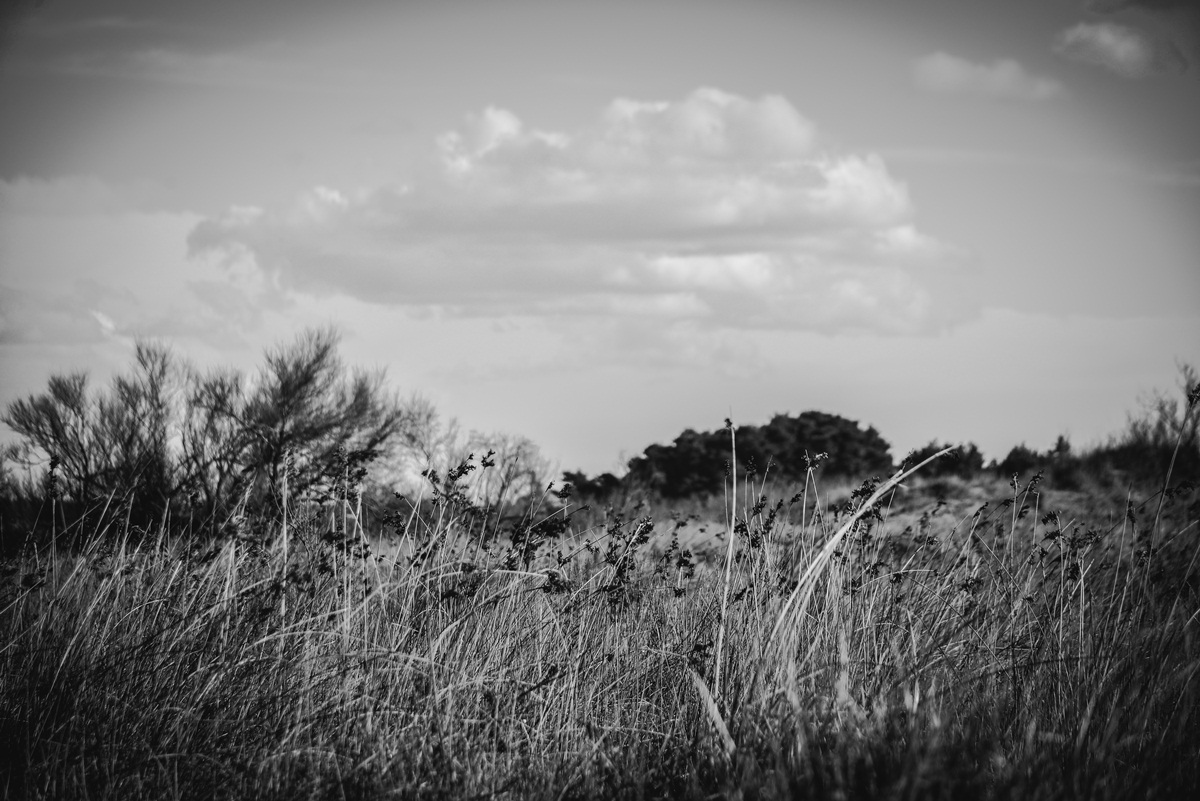 Crno bijela bajka na Kraljičinoj plaži, foto: Iva Perinčić
