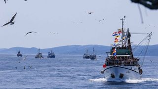 Tunuara 2016 – defile ribarica, spremanje brudeta, demonstracija ribarske vještine i koncert Zorica Kondža. Foto: TZ općine Kali/Adam Vidas Tunuara 2016 – defile ribarica, spremanje brudeta, demonstracija ribarske vještine i koncert Zorica Kondža. Foto: TZ općine Kali/Adam Vidas