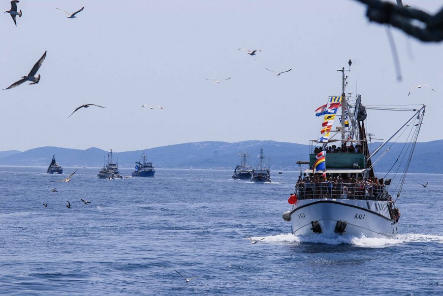 Tunuara 2016 – defile ribarica, spremanje brudeta, demonstracija ribarske vještine i koncert Zorica Kondža. Foto: TZ općine Kali/Adam Vidas Tunuara 2016 – defile ribarica, spremanje brudeta, demonstracija ribarske vještine i koncert Zorica Kondža. Foto: TZ općine Kali/Adam Vidas