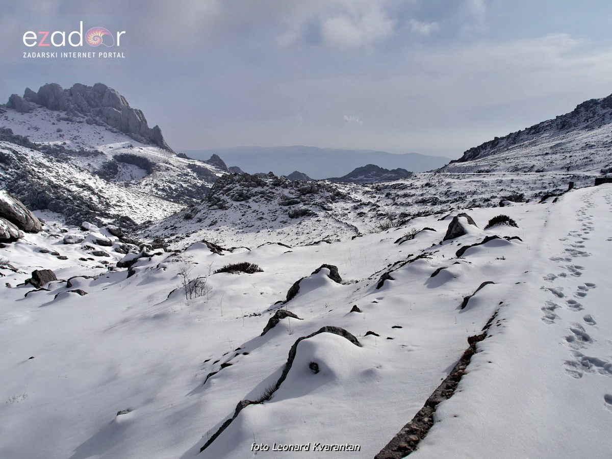 Tulove grede pod snježnim pokrivačem Tulove grede pod snježnim pokrivačem