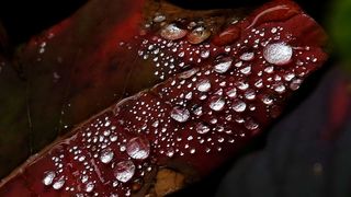 NP Plitvička jezera, listopad 2021.