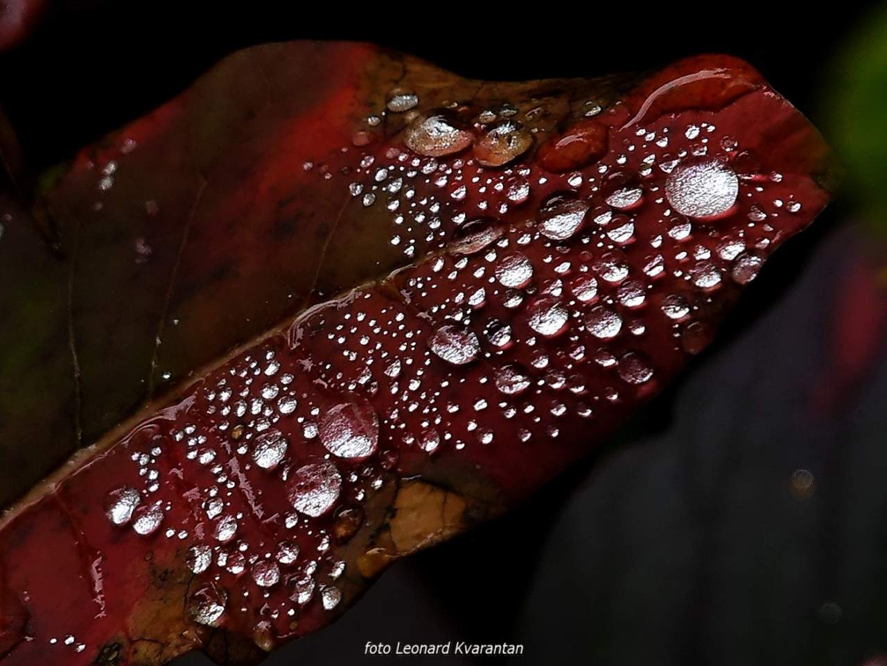 NP Plitvička jezera, listopad 2021.