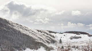 Đir do vrha Zečjak na sjevernom Velebitu, Foto: Leo Banić