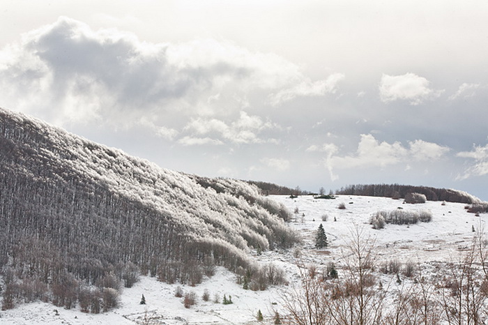 Đir do vrha Zečjak na sjevernom Velebitu, Foto: Leo Banić