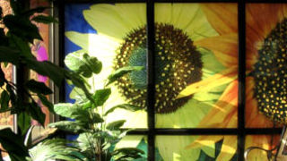 Tapete(foto:znak.si)