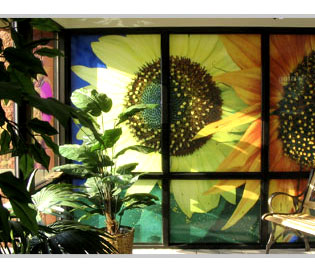 Tapete(foto:znak.si)