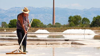 Solana Nin, berba soli, foto: Leo Banić