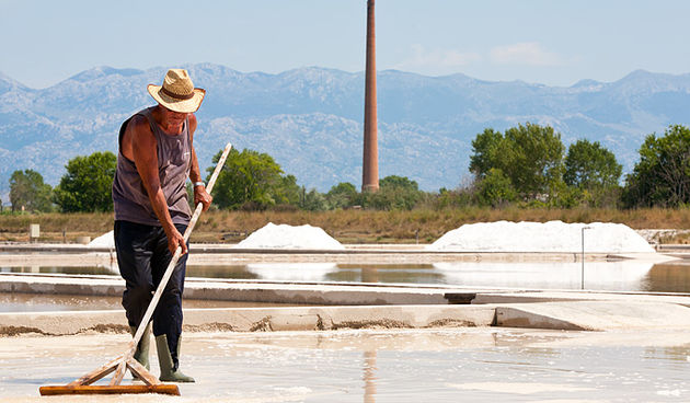 Solana Nin, berba soli, foto: Leo Banić
