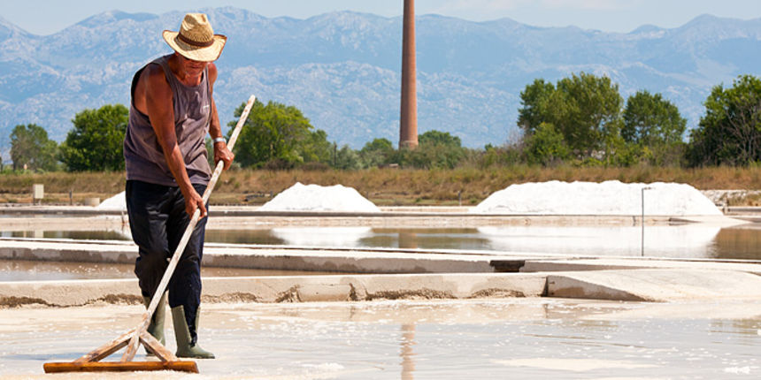 Solana Nin, berba soli, foto: Leo Banić