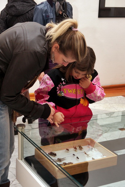 Izlozba A sto ako vam se svidjam? u Gradskoj lozi Izlozba A sto ako vam se svidjam? u Gradskoj lozi