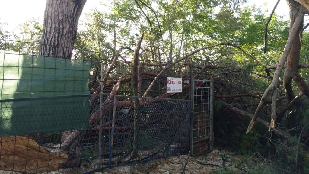 Nevera učinila veliku štetu i zadarskom azilu Nevera učinila veliku štetu i zadarskom azilu