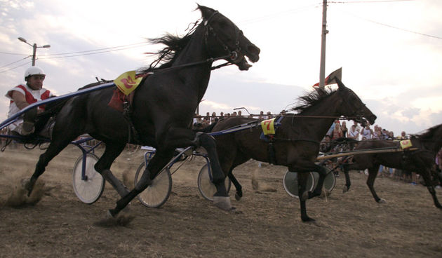 Konjicke utrke Polaca, 10. Jubilarne konjičke utrke Polača