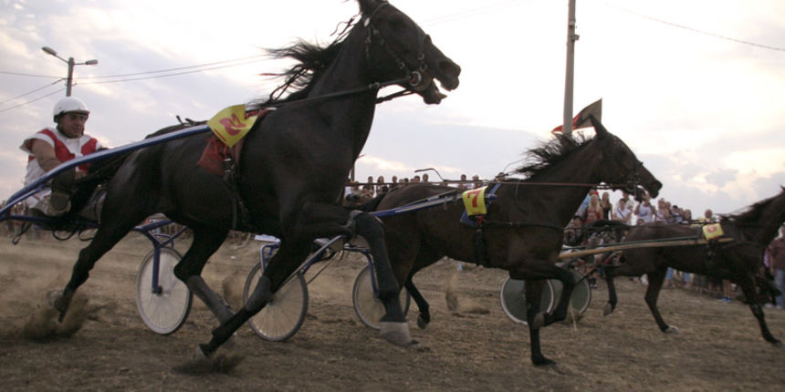 Konjicke utrke Polaca, 10. Jubilarne konjičke utrke Polača Konjicke utrke Polaca, 10. Jubilarne konjičke utrke Polača