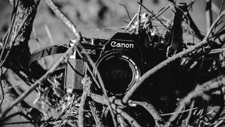 Crno bijela bajka na Kraljičinoj plaži, foto: Iva Perinčić