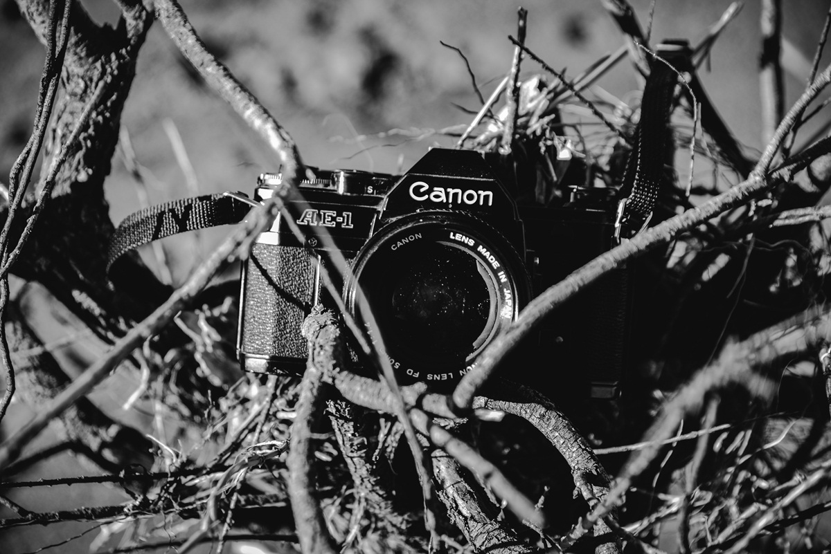 Crno bijela bajka na Kraljičinoj plaži, foto: Iva Perinčić