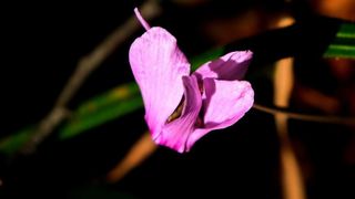 NP Plitvička jezera, listopad 2021.