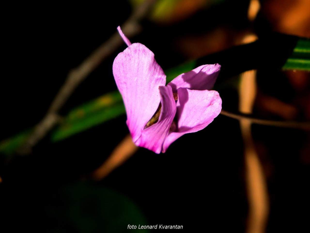 NP Plitvička jezera, listopad 2021.