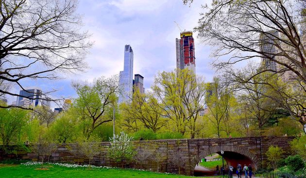 Central Park, New York